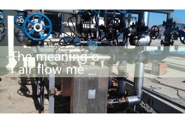air flow meter types